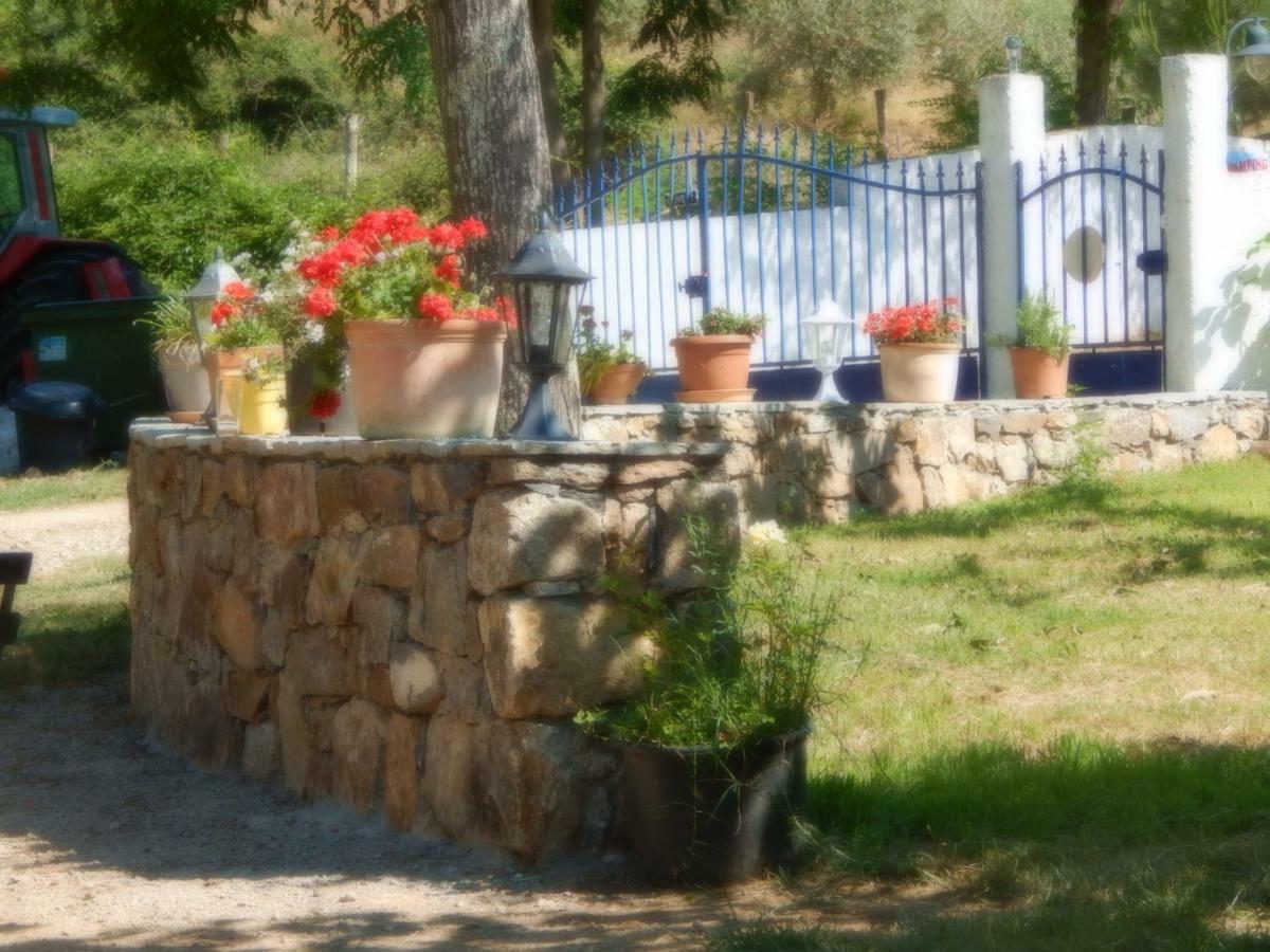 Ernella Hotel Aleria  Exterior photo